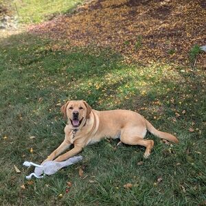 Meet your Posher, Mitch